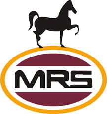 mrs2 logo